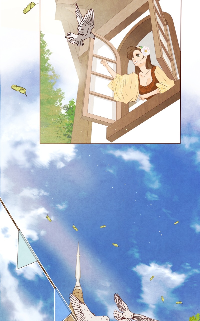Page (46)